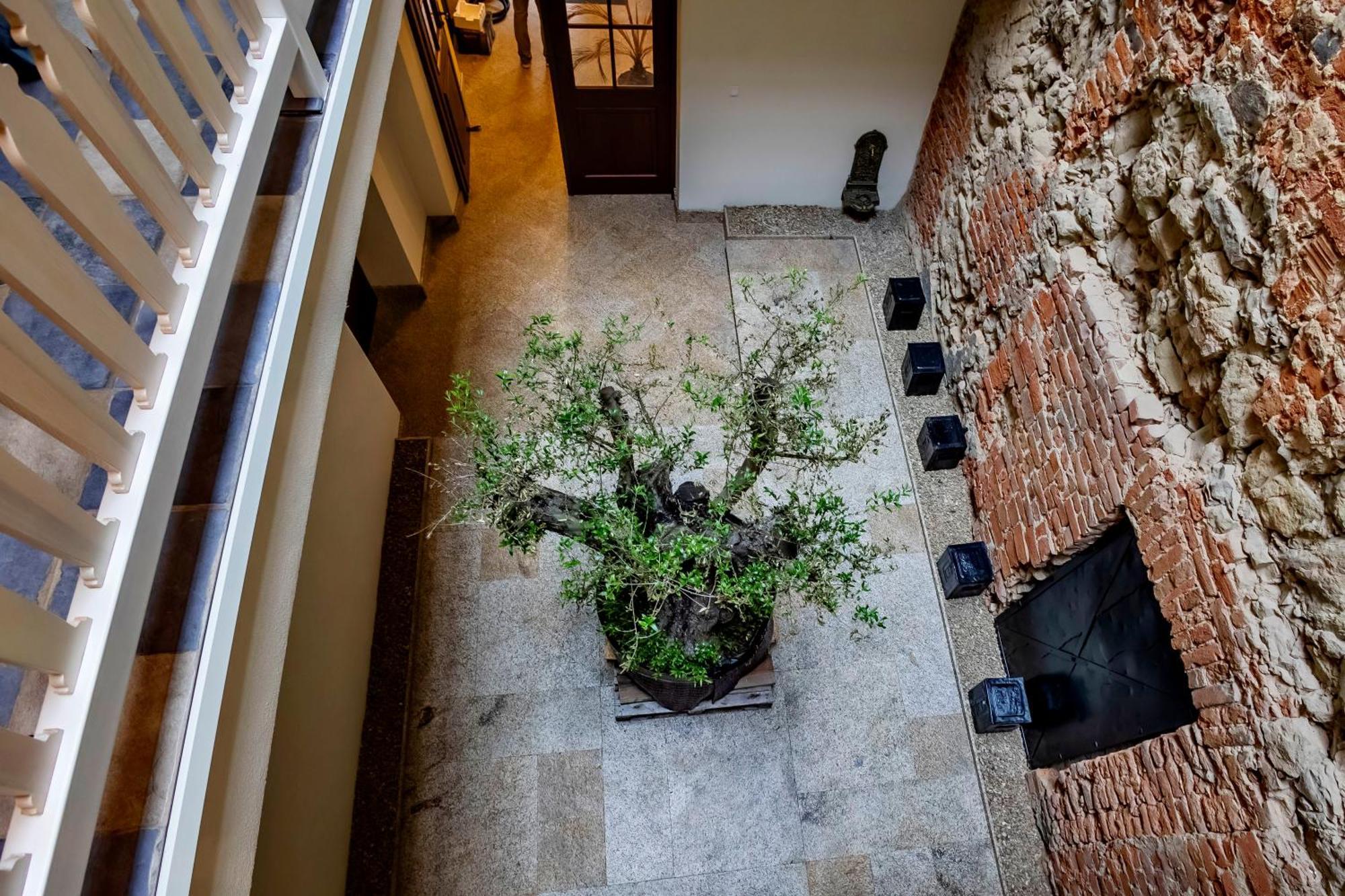 Lubartowska 19 Apartamenty لوبلين المظهر الخارجي الصورة