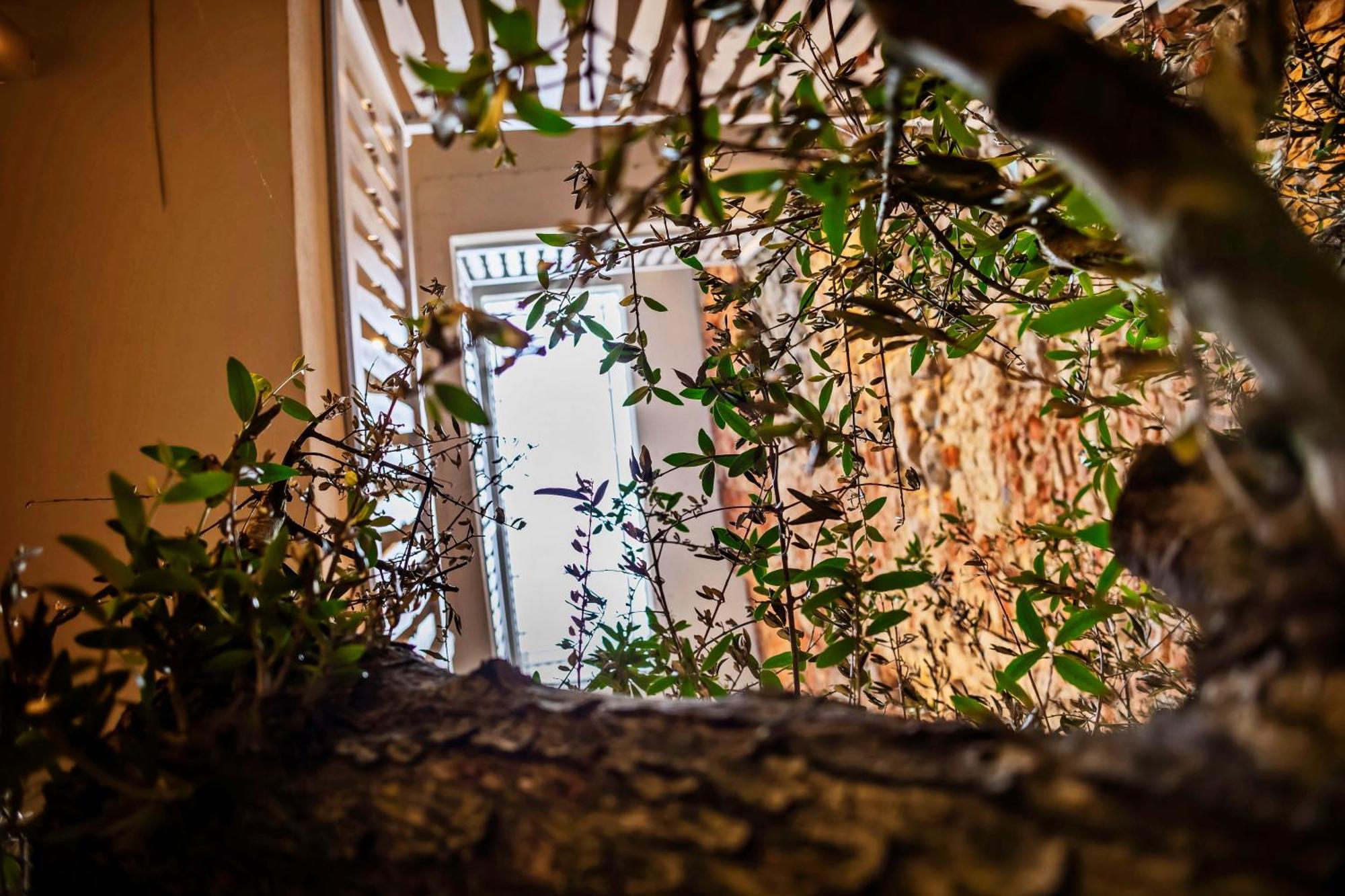 Lubartowska 19 Apartamenty لوبلين المظهر الخارجي الصورة